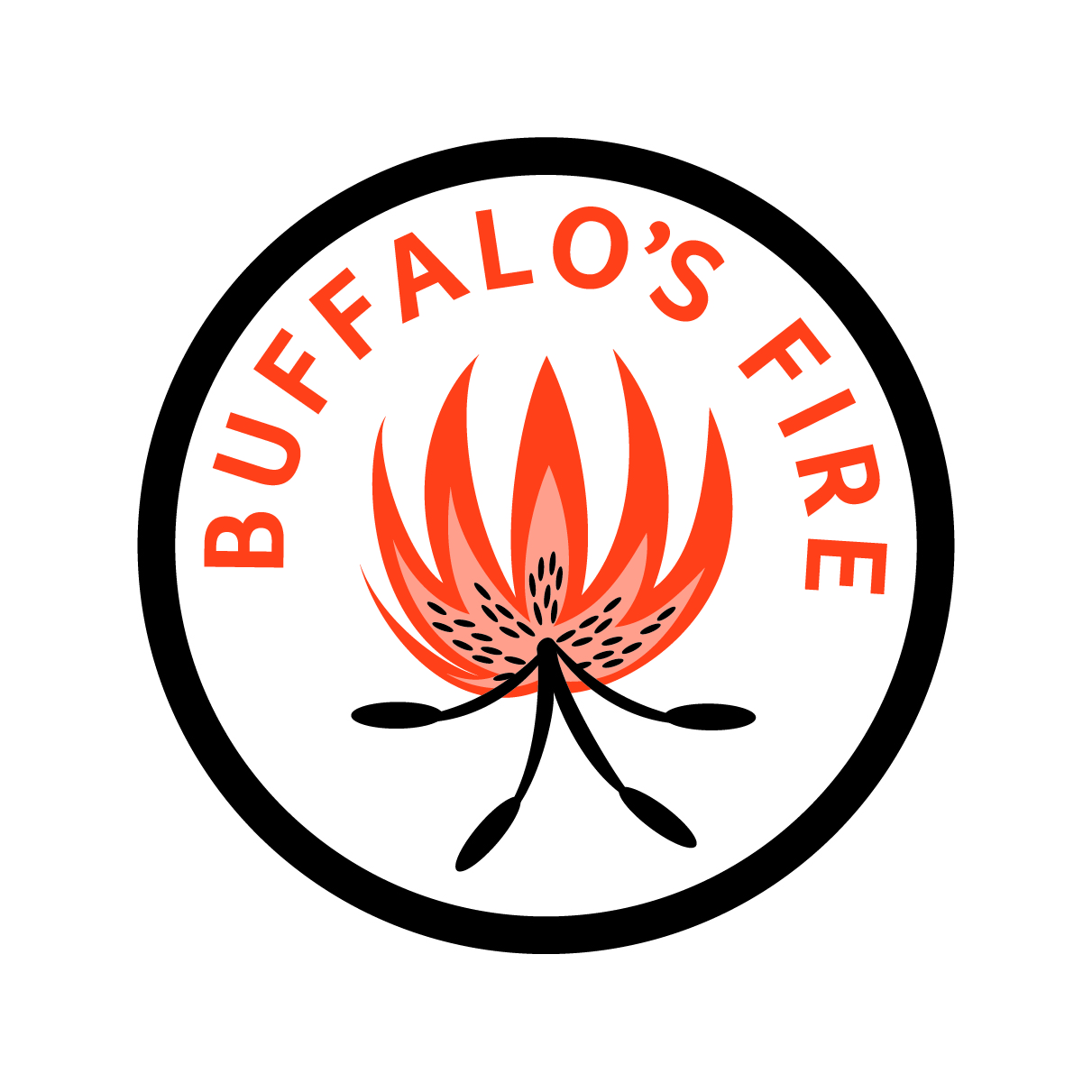 Buffalo's Fire